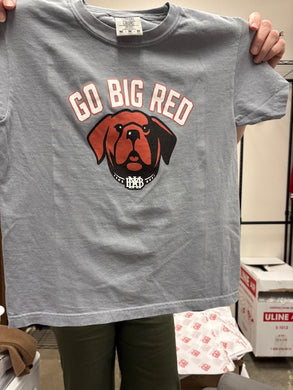 Big Red Dog Front of Gray T'shirt