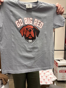 Big Red Dog Front of Gray T'shirt